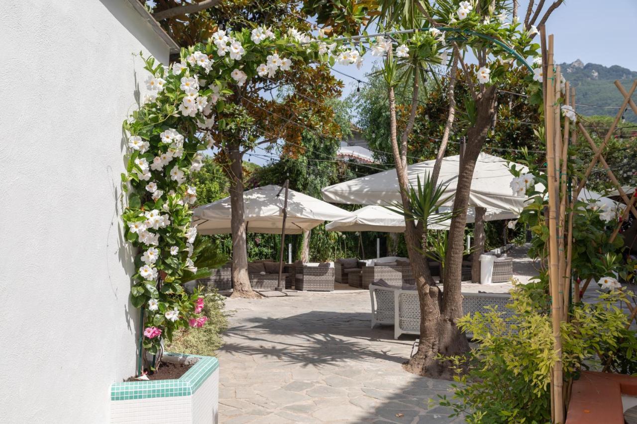 Hotel San Francesco Forio di Ischia Exteriér fotografie